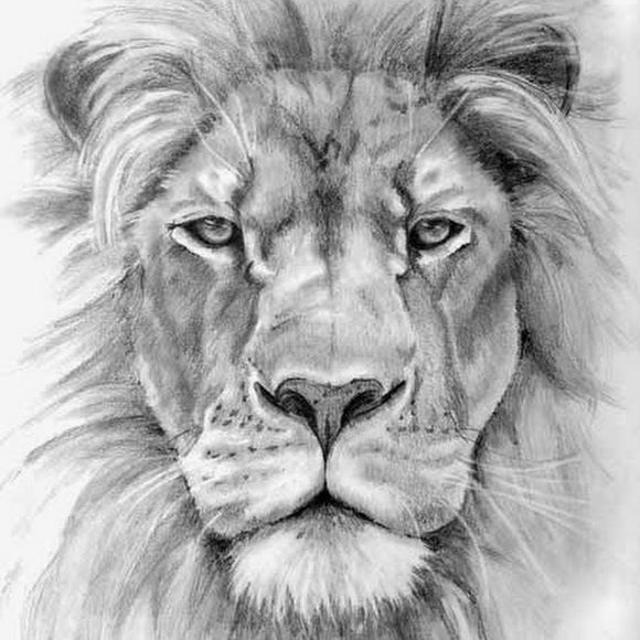 Meet your Posher, Gabos - Picture 1 of 1